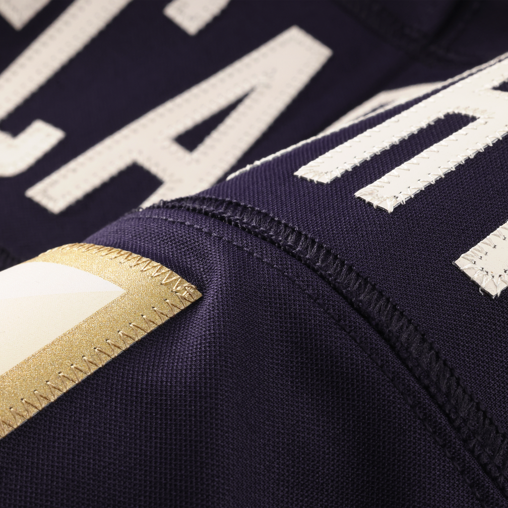 Andrew Van Ginkel Minnesota Vikings 2026 Rivalries Collection Stitched Limited Jersey - Purple