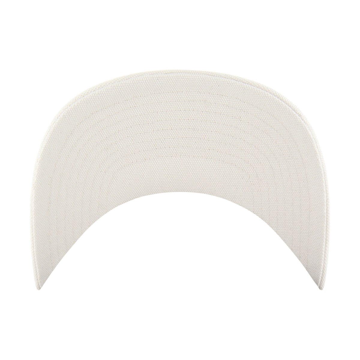 Detroit Lions Carhartt Undyed '47 Trucker RF Relaxed Fit